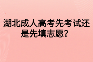 湖北成人高考先考试还是先填志愿？
