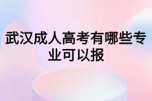 武汉成人高考有哪些专业可以报