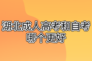湖北成人高考和自考哪个更好