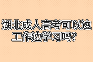 湖北成人高考可以边工作边学习吗？