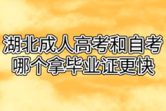 湖北成人高考和自考哪个拿毕业证更快