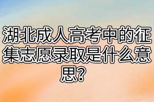 湖北成人高考中的征集志愿录取是什么意思？