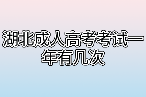 湖北成人高考考试一年有几次