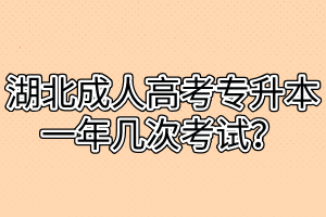 湖北成人高考专升本一年几次考试？
