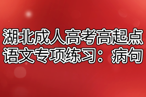 湖北成人高考高起点语文专项练习：病句