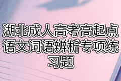 湖北成人高考高起点语文词语辨析专项练习题