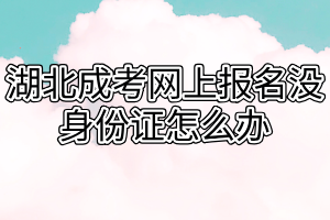 湖北成考网上报名没身份证怎么办
