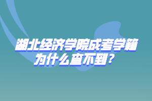 湖北经济学院成考学籍为什么查不到？