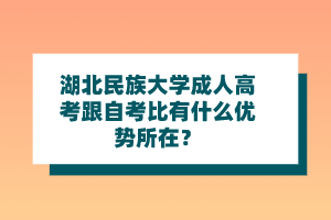 湖北民族大学成人高考跟自考比有什么优势所在？