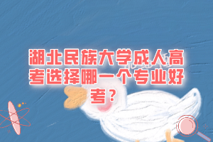 湖北民族大学成人高考选择哪一个专业好考？