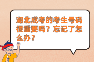 湖北成考的考生号码很重要吗？忘记了怎么办？