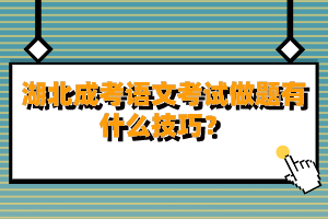 湖北成考语文考试做题有什么技巧？