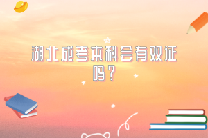 湖北成考本科会有双证吗？