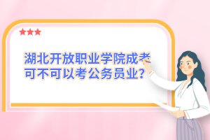 湖北开放职业学院成考可不可以考公务员业？
