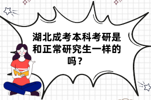 湖北成考本科考研是和正常研究生一样的吗？