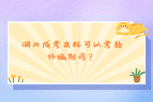 湖北成考本科可以考教师编制吗？