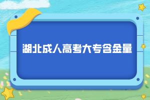 湖北成人高考大专含金量