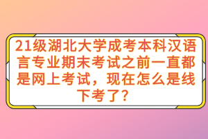 21级湖北大学成考本科汉语言专业期末考试之前一