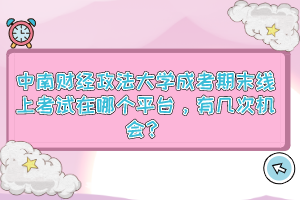 中南财经政法大学成考期末线上考试在哪个平台