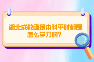 湖北成教函授本科平时都是怎么学习的？