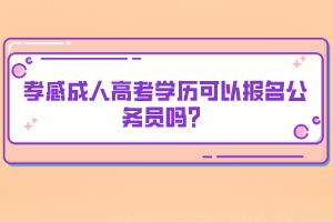 孝感成人高考学历可以报名公务员吗？