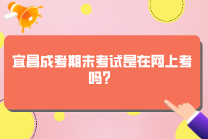 宜昌成考期末考试是在网上考吗？
