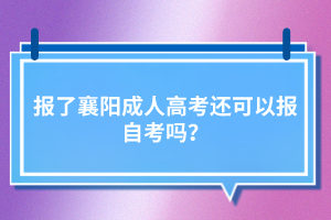 报了襄阳成人高考还可以报自考吗？