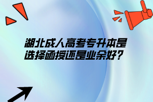 湖北成人高考专升本是选择函授还是业余好？