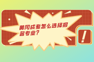 黄冈成考怎么选择报名专业？