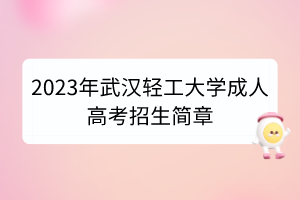2023年武汉轻工大学成人高考招生简章