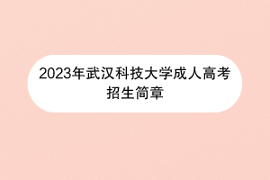 2023年武汉科技大学成人高考招生简章