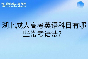 湖北成人高考英语科目有哪些常考语法？