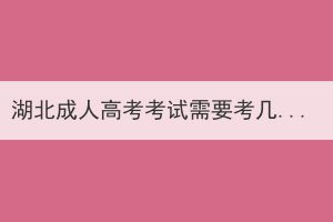 湖北成人高考考试需要考几天？一般是什么时候？