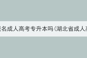 外地人可以在湖北报名成人高考专升本吗(湖北省成人高考报名官网入口)