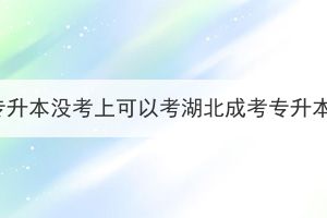 统招专升本没考上可以考湖北成考专升本吗？