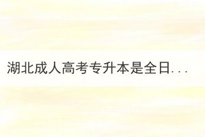 湖北成人高考专升本是全日制本科吗？