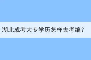 湖北成考大专学历怎样去考编？