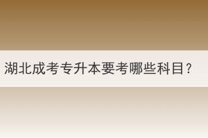 湖北成考专升本要考哪些科目？