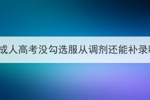 湖北成人高考没勾选服从调剂还能补录吗？