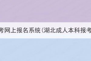 湖北成考网上报名系统(湖北成人本科报考官网)