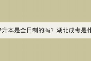 湖北成考专升本是全日制的吗？湖北成考是什么文凭？