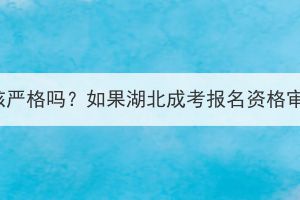 湖北成考报名资格审核严格吗？如果湖北成考报名资格审核不通过还能改吗？