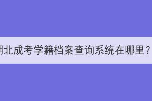 湖北成考学籍档案查询系统在哪里？