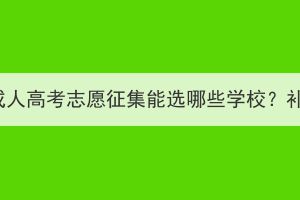 2023年湖北成人高考志愿征集能选哪些学校？补录有几天？