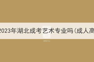 不是艺术生可以报名2023年湖北成考艺术专业吗(成人高考可以走艺术生吗)