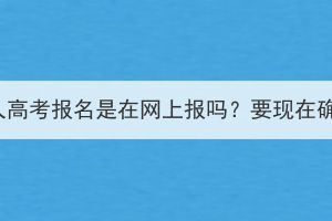 湖北成人高考报名是在网上报吗？要现在确认吗？