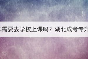 湖北成考专升本需要去学校上课吗？湖北成考专升本怎么学习？