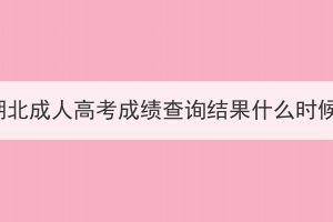 2023年湖北成人高考成绩查询结果什么时候出来？