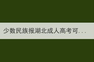 少数民族报湖北成人高考可以加分吗？