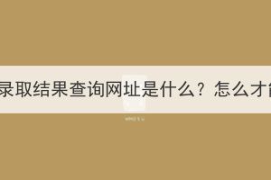 湖北成考录取结果查询网址是什么？怎么才能查到？